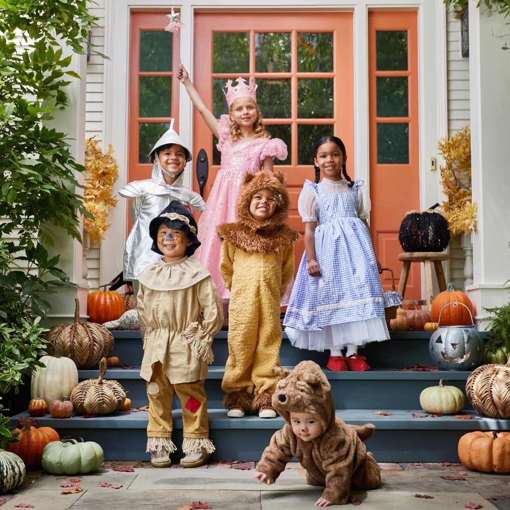 The Wizard of Oz™ Cowardly Lion™ Costume - PBK - Picture 6 of 11